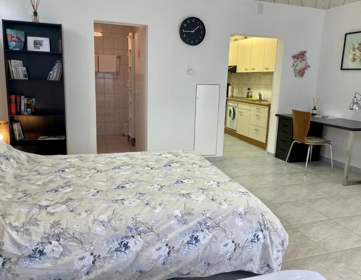 Studio In Stadtnaehe Zuerich Mit Guter Verkehrsanbindung Adliswil Exterior foto